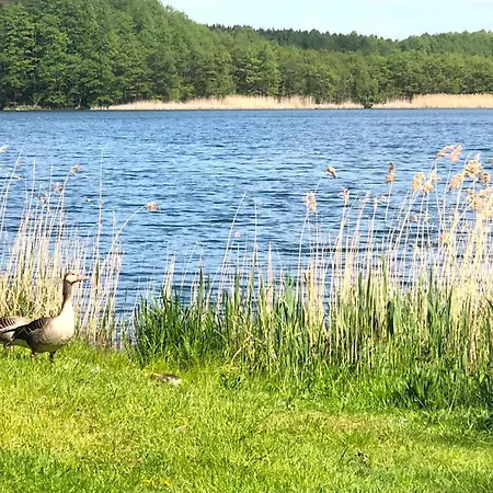 Sonniges Am Zenssee Apartmán Lychen