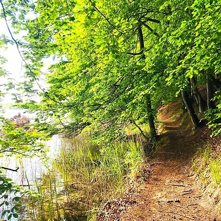 Sonniges Am Zenssee Lychen